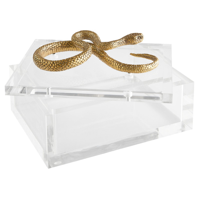 Snake Box Designed by Thom Filicia in Clear & Brass by Cyan Design