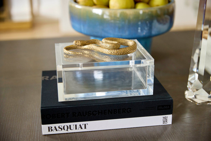 Snake Box Designed by Thom Filicia in Clear & Brass by Cyan Design