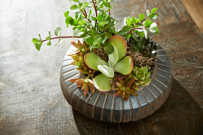 Ribbed Sweater Bowl Designed by Thom Filicia in Crystal Bronze by Cyan Design