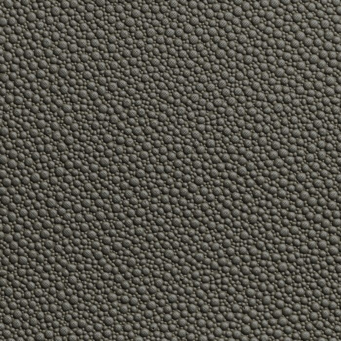 Fetch - Granite