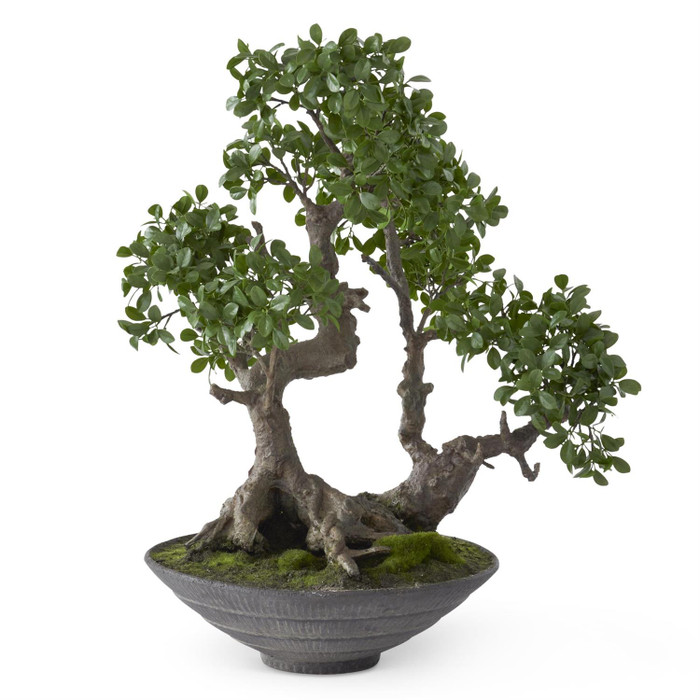 32 Inch Ficus Bonsai Tree with Faux Moss In Round Textured Pot by K&K Interiors 32 Inch Ficus Bonsai Tree with Faux Moss In Round Textured Pot by K&K Interiors