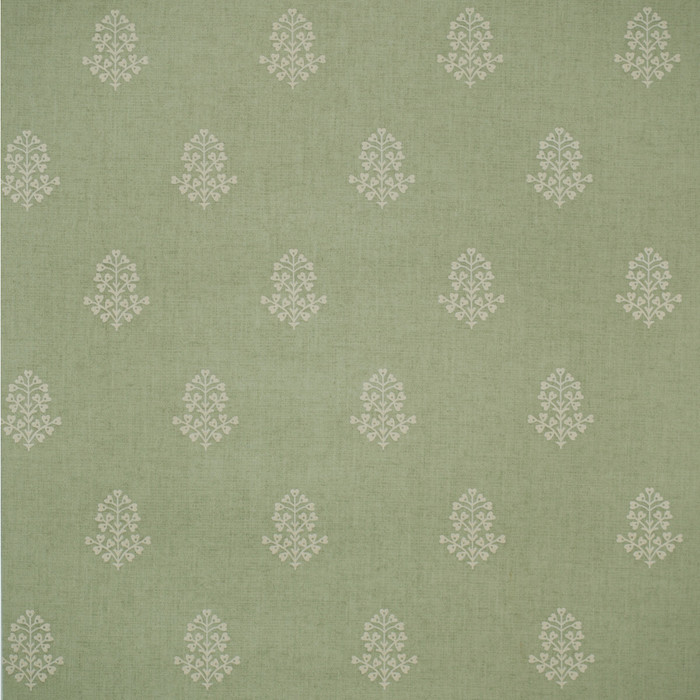 Cow Parsley in Leaf, Wallcovering by Kravet Couture