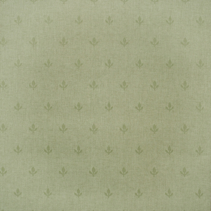 Crocus in Leaf, Wallcovering by Kravet Couture