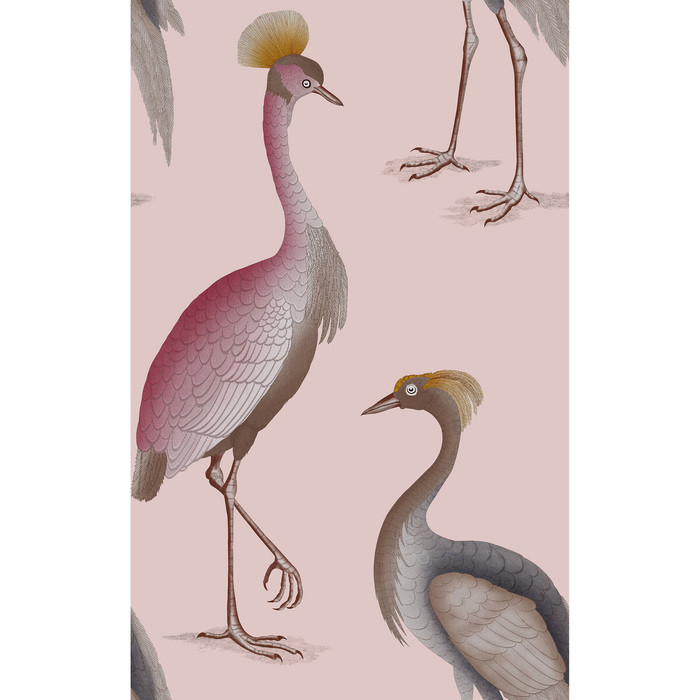 Garzas in Rosa, Wallcovering by Gaston Y Daniela