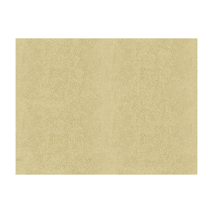 Chic Shagreen in White Gold, Upholstery Fabric by Kravet Couture