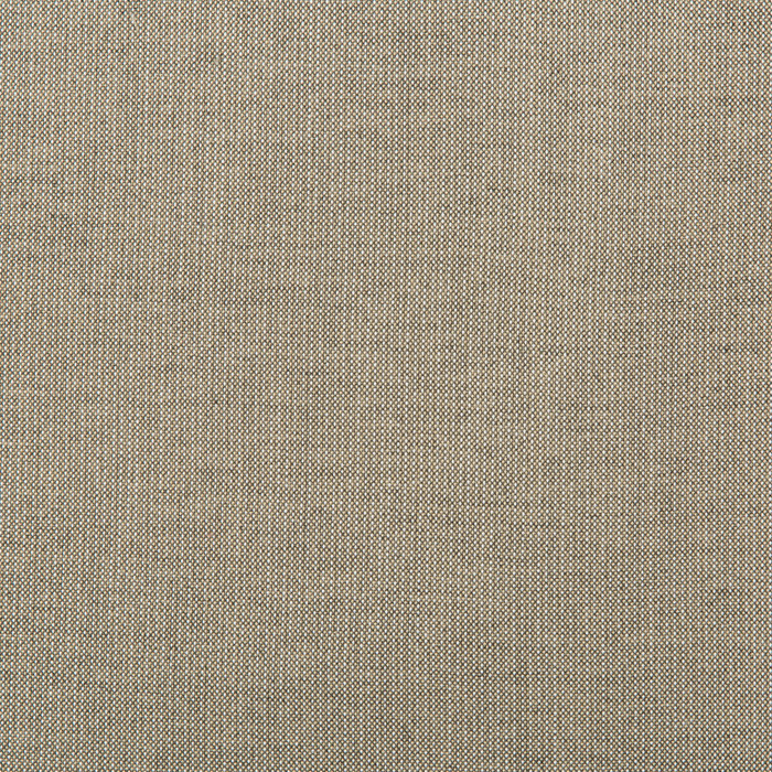 Kravet Basics in 36820-106, Multipurpose Fabric