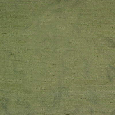 Pavillon Silk in Cactus, Drapery Fabric by Kravet Basics