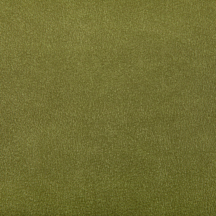 Agatha in Cactus, Upholstery Fabric by Kravet Contract