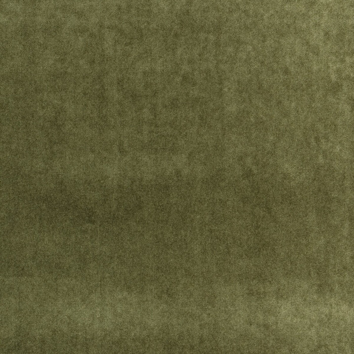Venetia in Olive, Upholstery Fabric by Kravet Couture