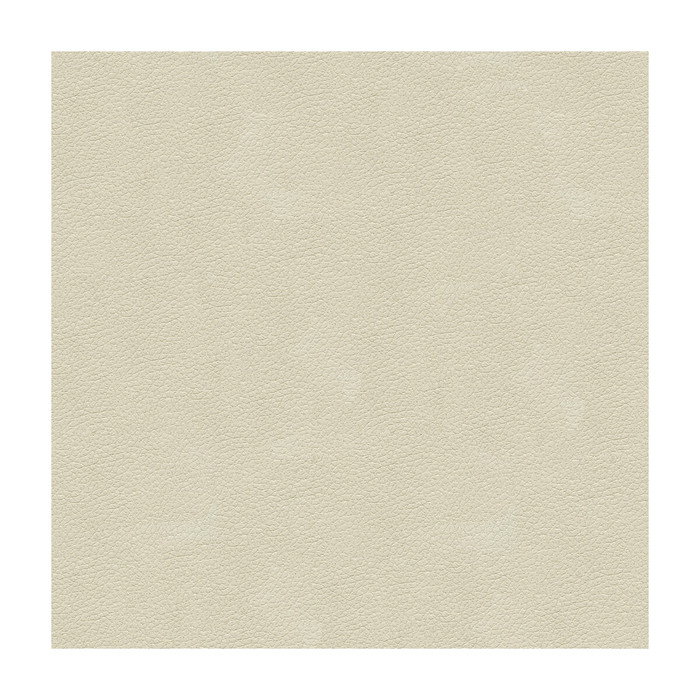 Kravet Design in Ali-111, Upholstery Fabric