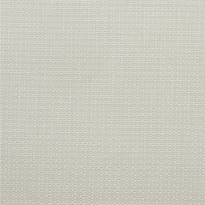 Birch in Chalk, Upholstery Fabric by Kravet Couture
