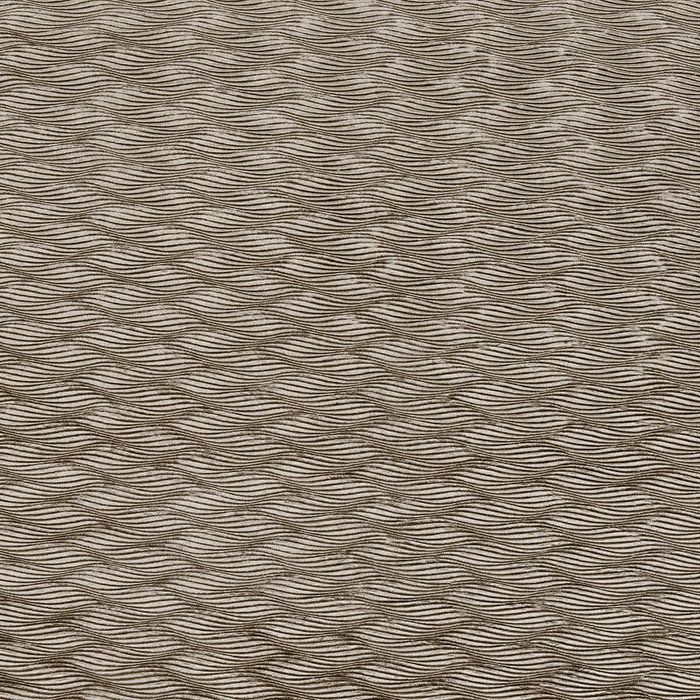 Tempo in Ash, Upholstery Fabric by Clarke & Clarke