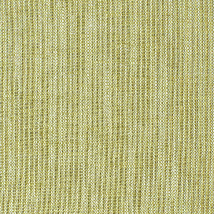 Biarritz in Citrus, Multipurpose Fabric by Clarke & Clarke