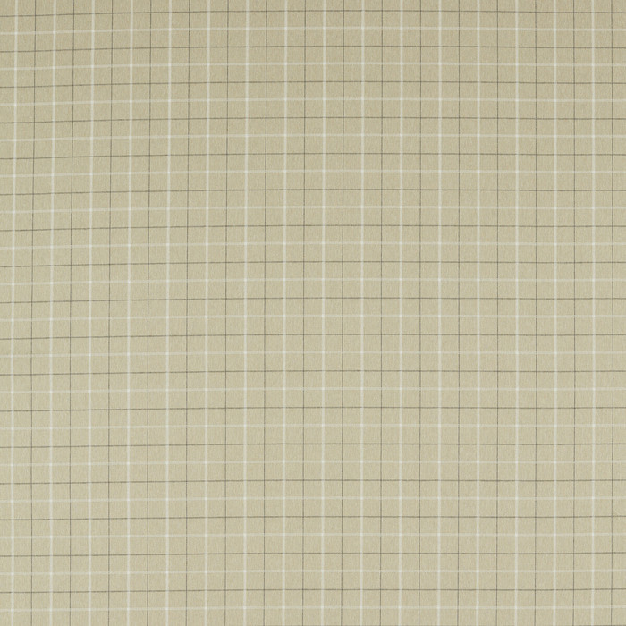 Thornton in Flax, Upholstery Fabric by Clarke & Clarke