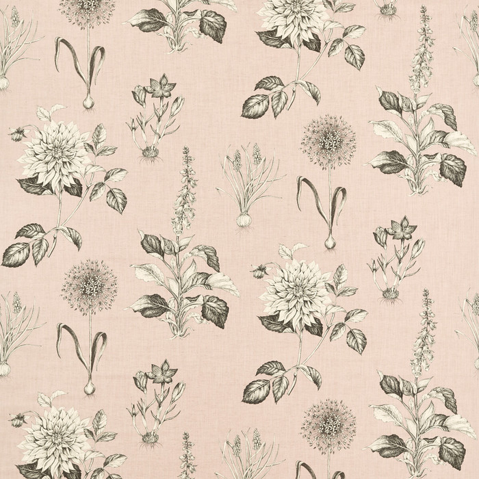 Roseraie in Blush, Multipurpose Fabric by Clarke & Clarke