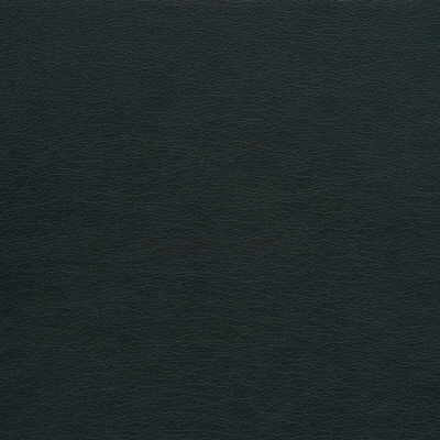 Kravet Design in Gato-21, Upholstery Fabric