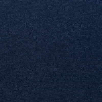 Kravet Design in Gato-50, Upholstery Fabric