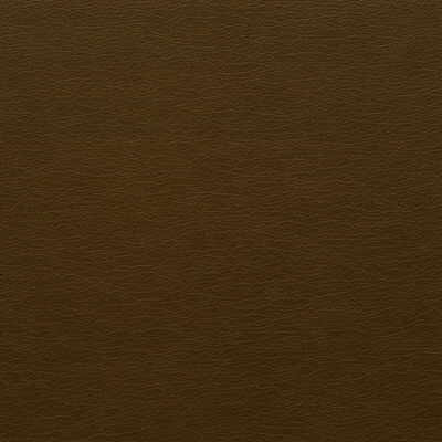 Kravet Design in Gato-66, Upholstery Fabric