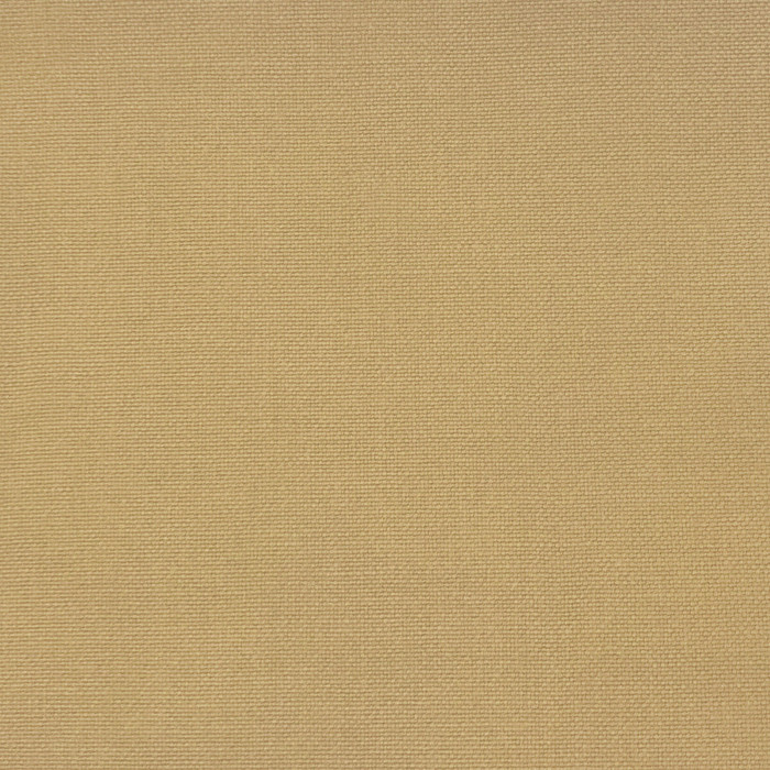 Palma in Barquillo, Upholstery Fabric by Gaston Y Daniela