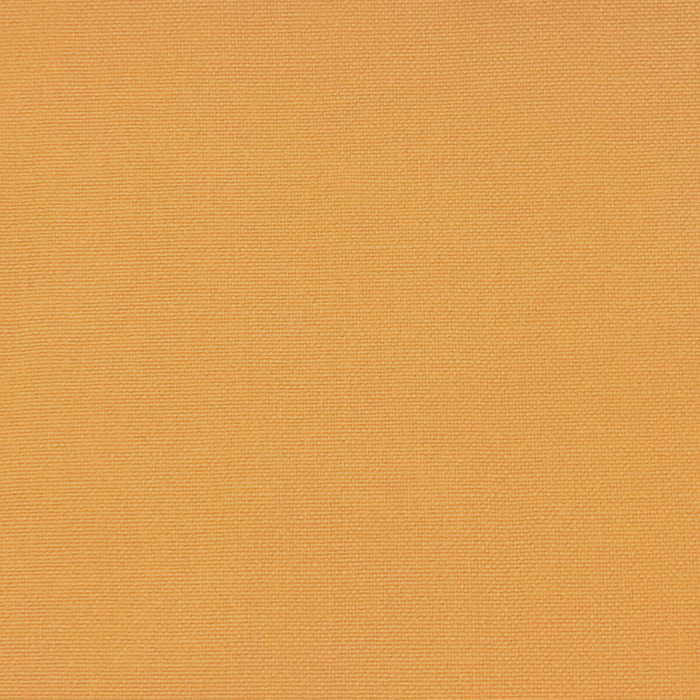 Palma in Yema, Upholstery Fabric by Gaston Y Daniela