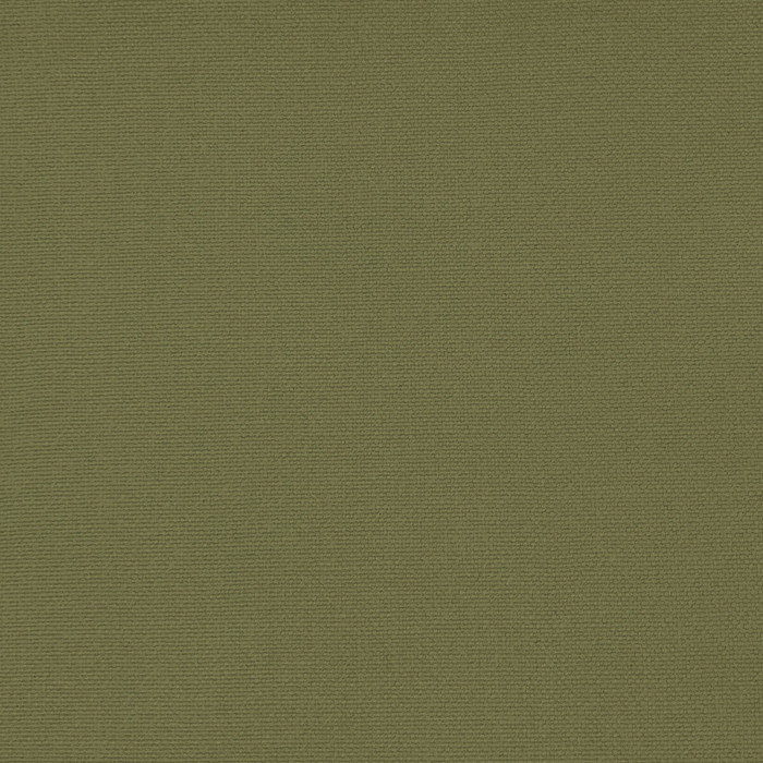 Palma in Verde Alamo, Upholstery Fabric by Gaston Y Daniela