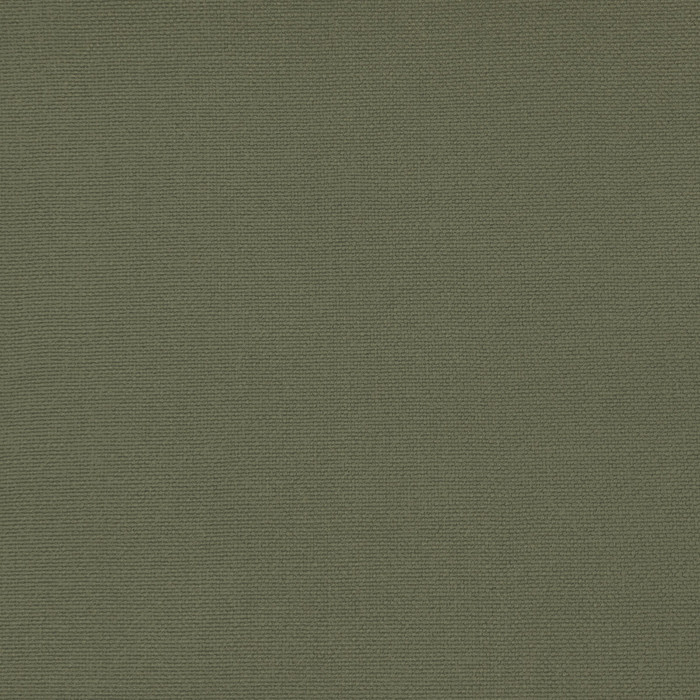 Palma in Tortuga, Upholstery Fabric by Gaston Y Daniela