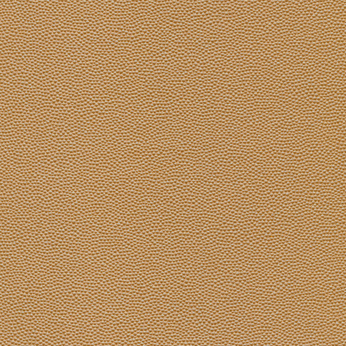 Kravet Design in Hammer-16, Upholstery Fabric