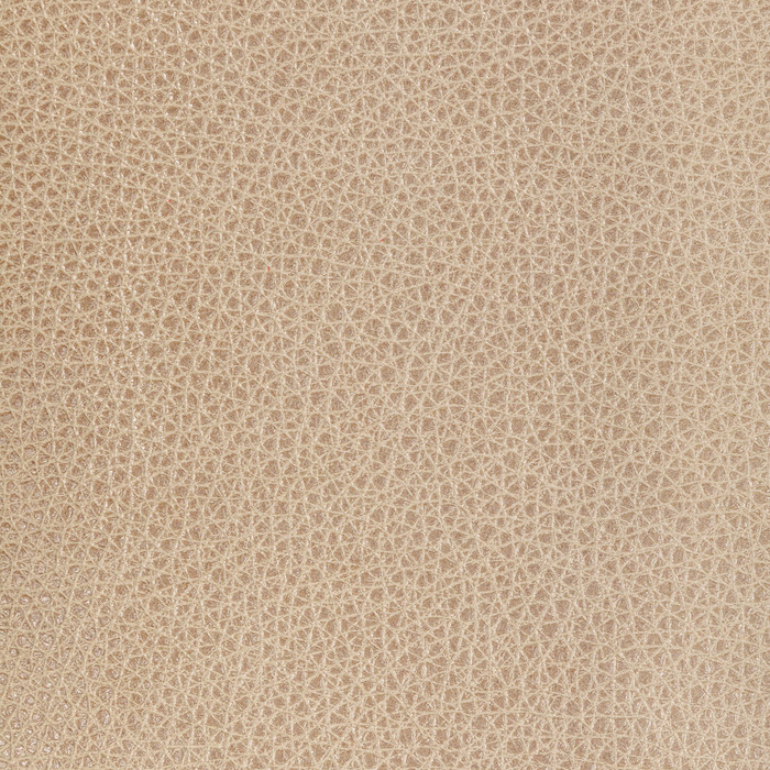 Kravet Design in L-bison-oat, Upholstery Fabric