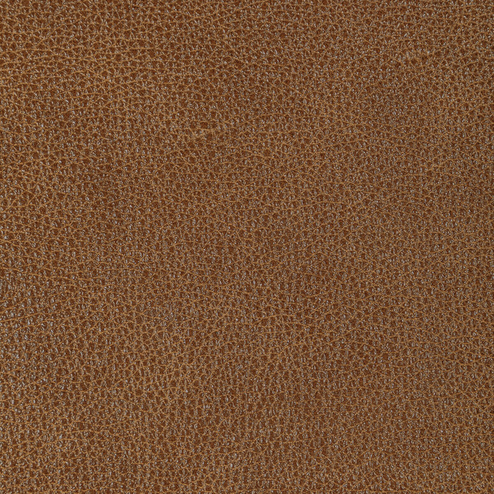 Kravet Design in L-bison-pecan, Upholstery Fabric