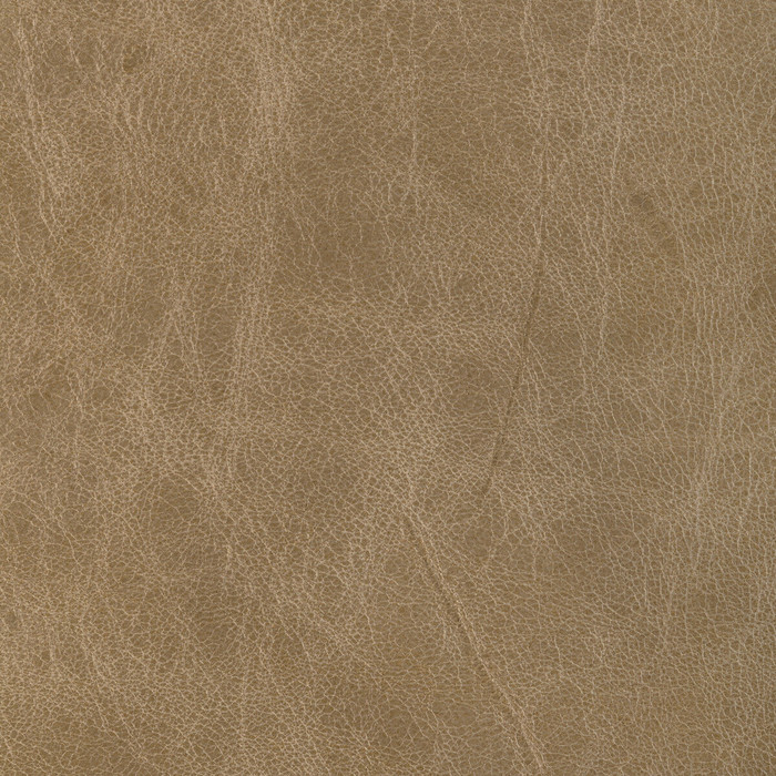 L-brantley in Tan, Upholstery Fabric by Kravet Design