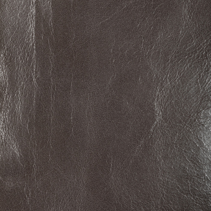 Kravet Design in L-chantey-seal, Upholstery Fabric