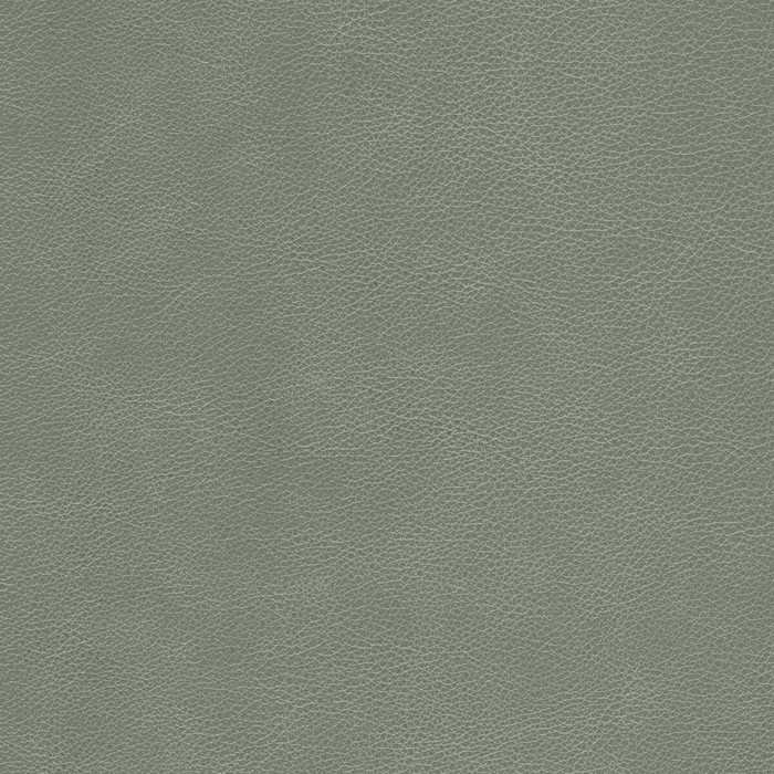 Kravet Design in L-cimarron-elephant, Upholstery Fabric