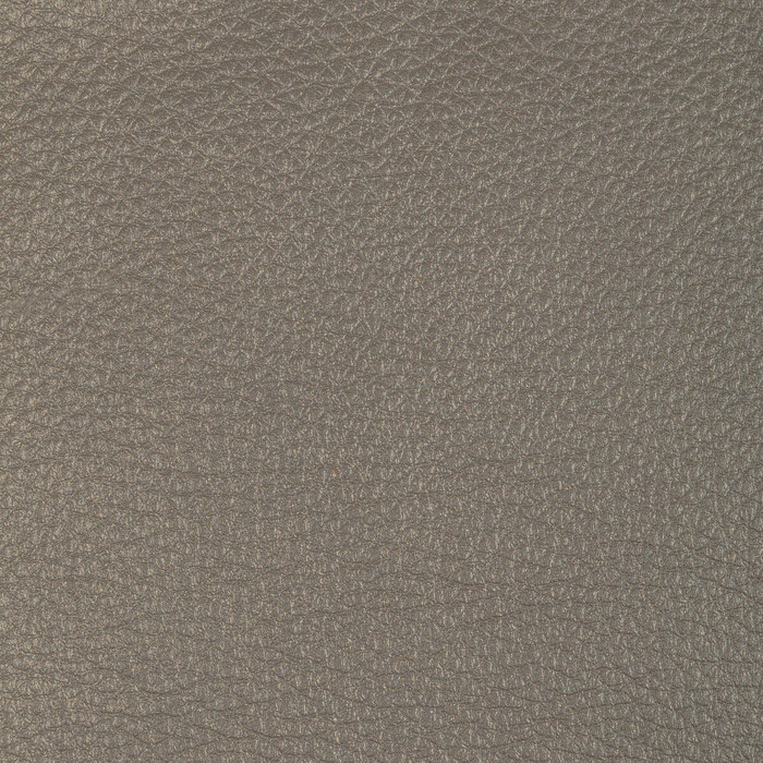 Kravet Design in L-conchas-elephant, Upholstery Fabric