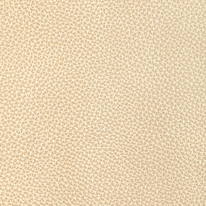 Kravet Design in L-dixie-champagne, Upholstery Fabric
