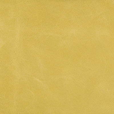 Kravet Couture in L-haute-citron, Upholstery Fabric