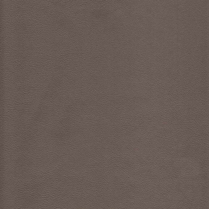 Kravet Design in L-howdy-taupe, Upholstery Fabric