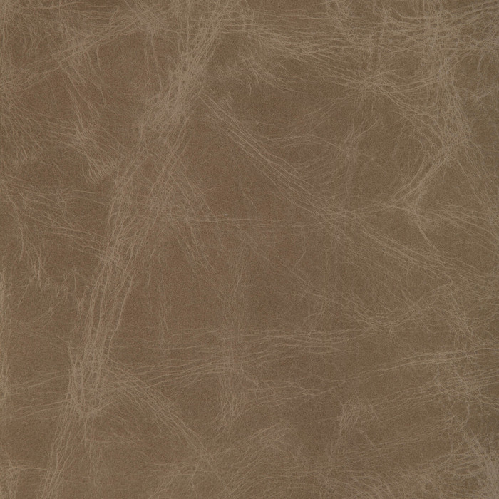 L-ovine in Fawn, Upholstery Fabric by Kravet Design