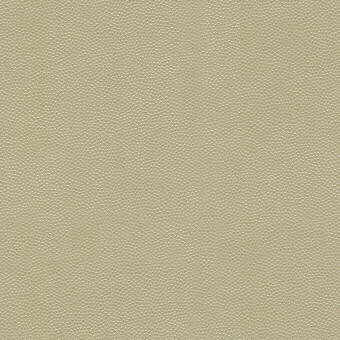 Litestar in Sand, Upholstery Fabric by Kravet Design