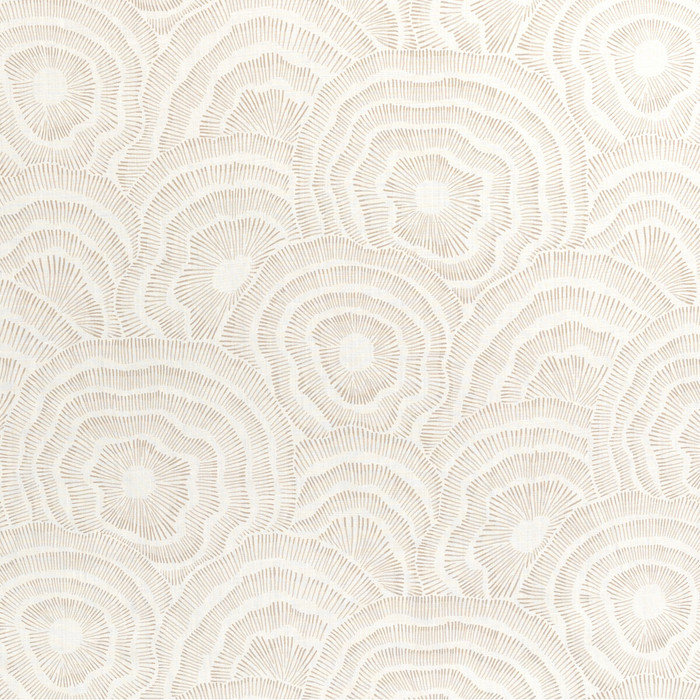 Panache in Natural, Multipurpose Fabric by Kravet Couture