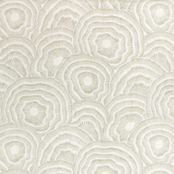 Panache in Leaf, Multipurpose Fabric by Kravet Couture