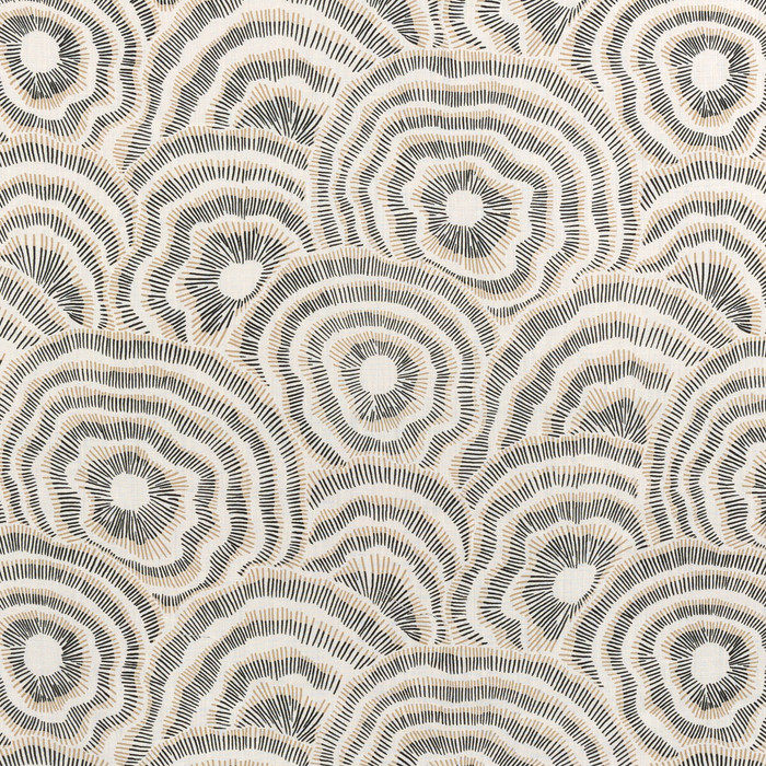 Panache in Onyx, Multipurpose Fabric by Kravet Couture