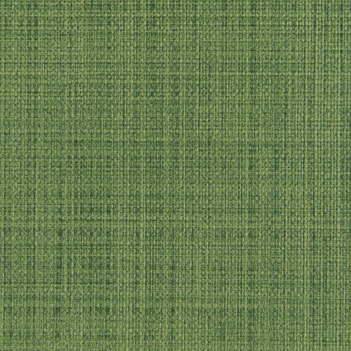 Scrimshaw in Cactus, Upholstery Fabric by Kravet Contract