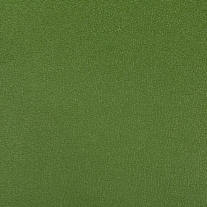 Syrus in Bonsai, Upholstery Fabric by Kravet Contract