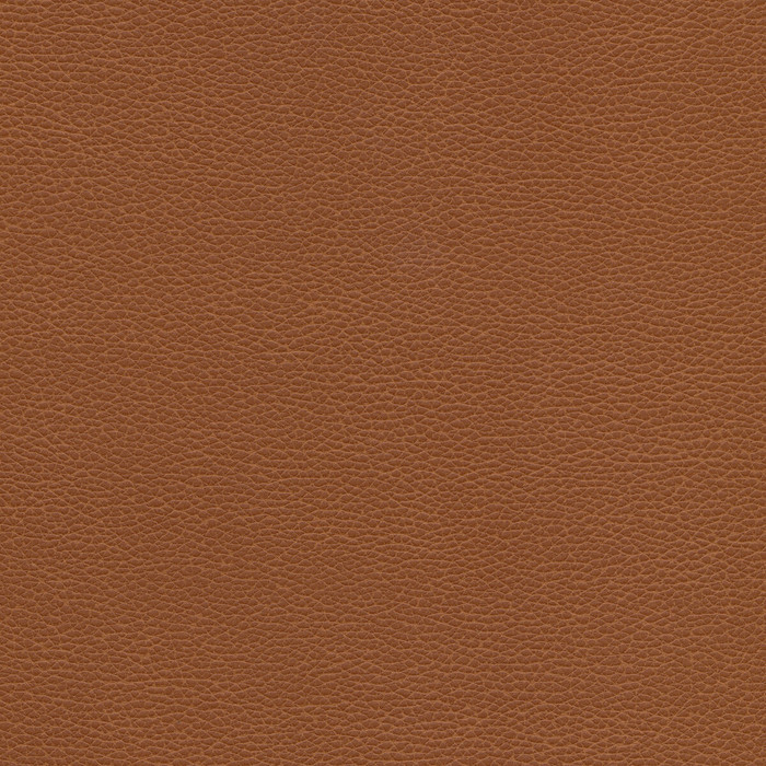 Kravet Design in Tannin-6, Upholstery Fabric