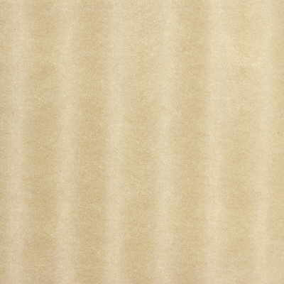 Whoa Nelly in Blonde, Upholstery Fabric by Kravet Couture