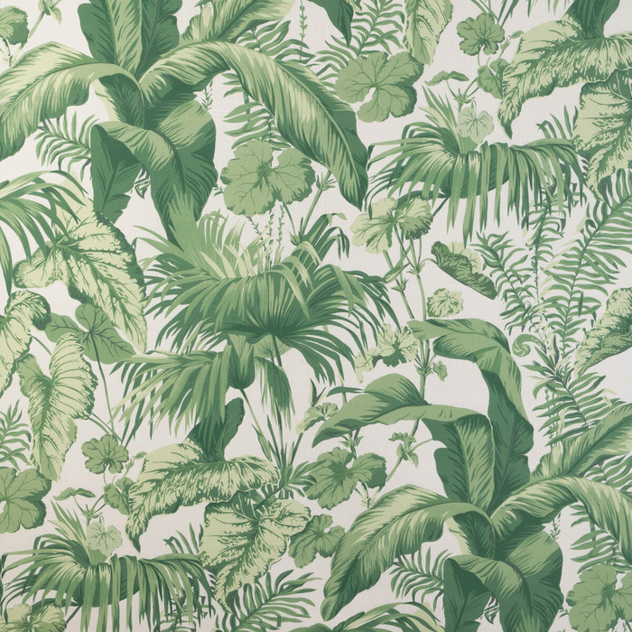 Yasuni in Verde, Multipurpose Fabric by Kravet Couture