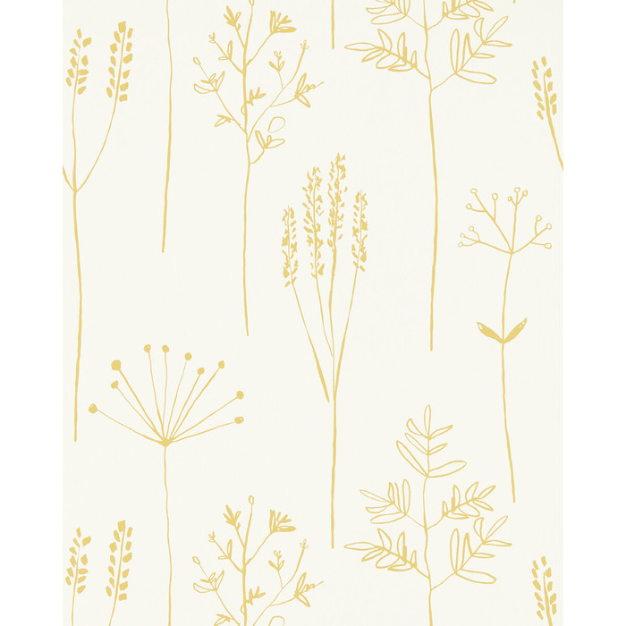 Stipa in Honey, Wallcovering by Scion