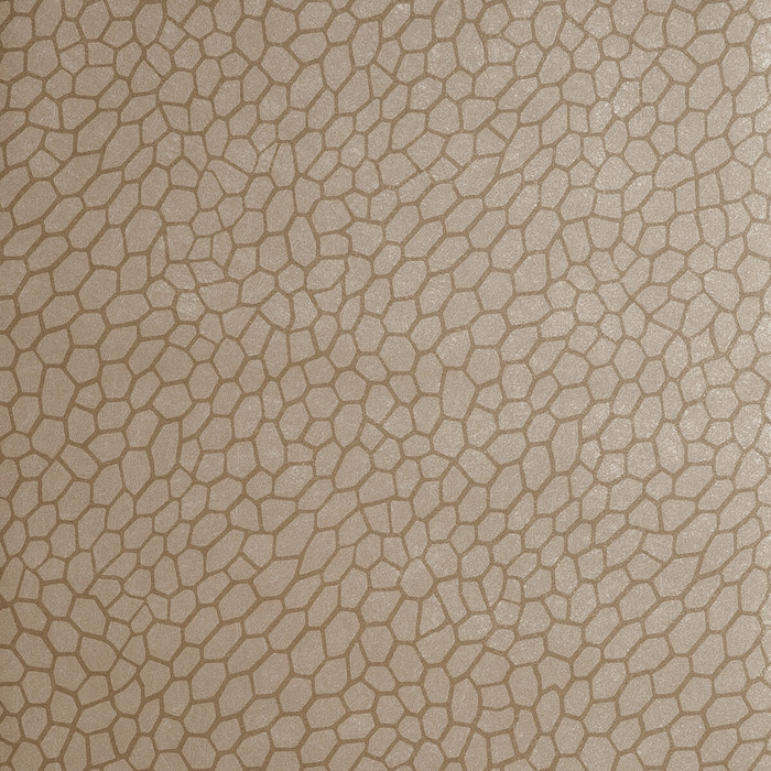 Playa in Antique, Wallcovering by Clarke & Clarke