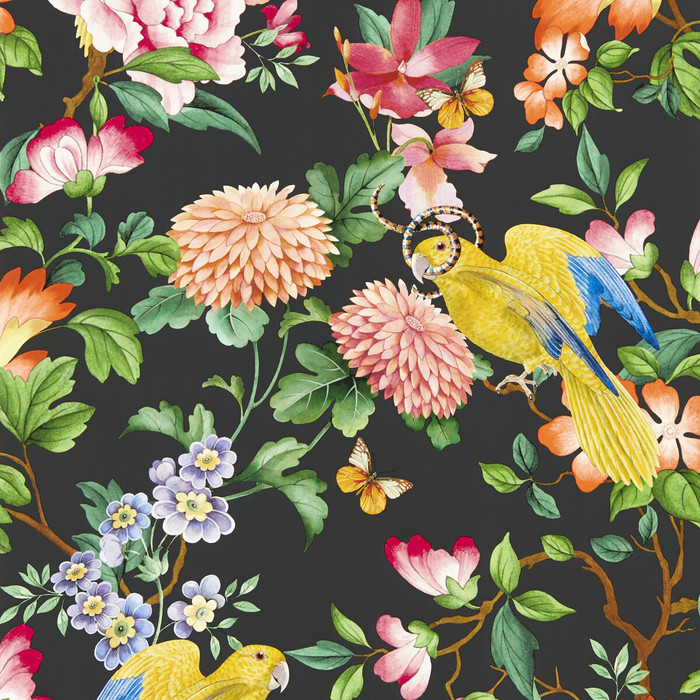 Golden Parrot Wp in Noir, Wallcovering by Clarke & Clarke