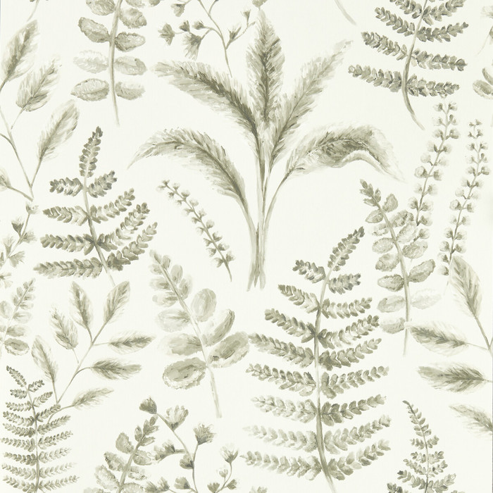 Bracken in Natural Wp, Wallcovering by Clarke & Clarke